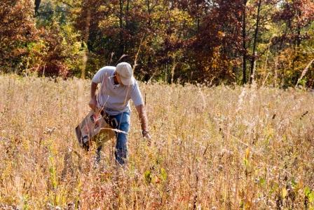 Become a Seed Collector | www.sciencecollections.org
